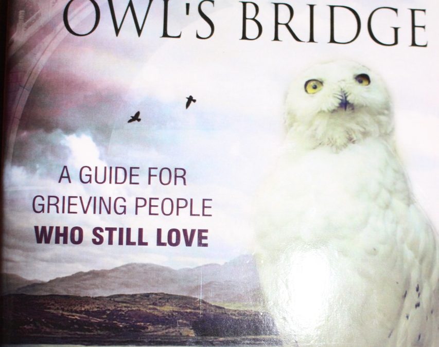 “Crossing the Owl’s Bridge”: Book Review