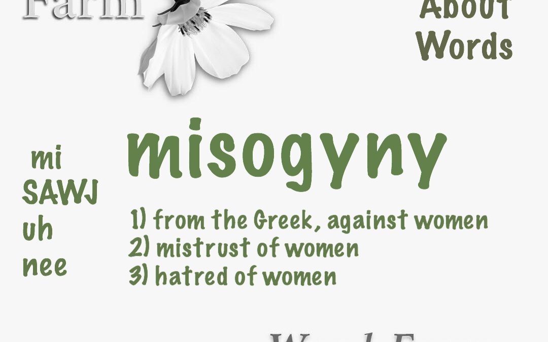 misogyny