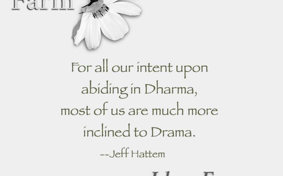 Dharma/Drama