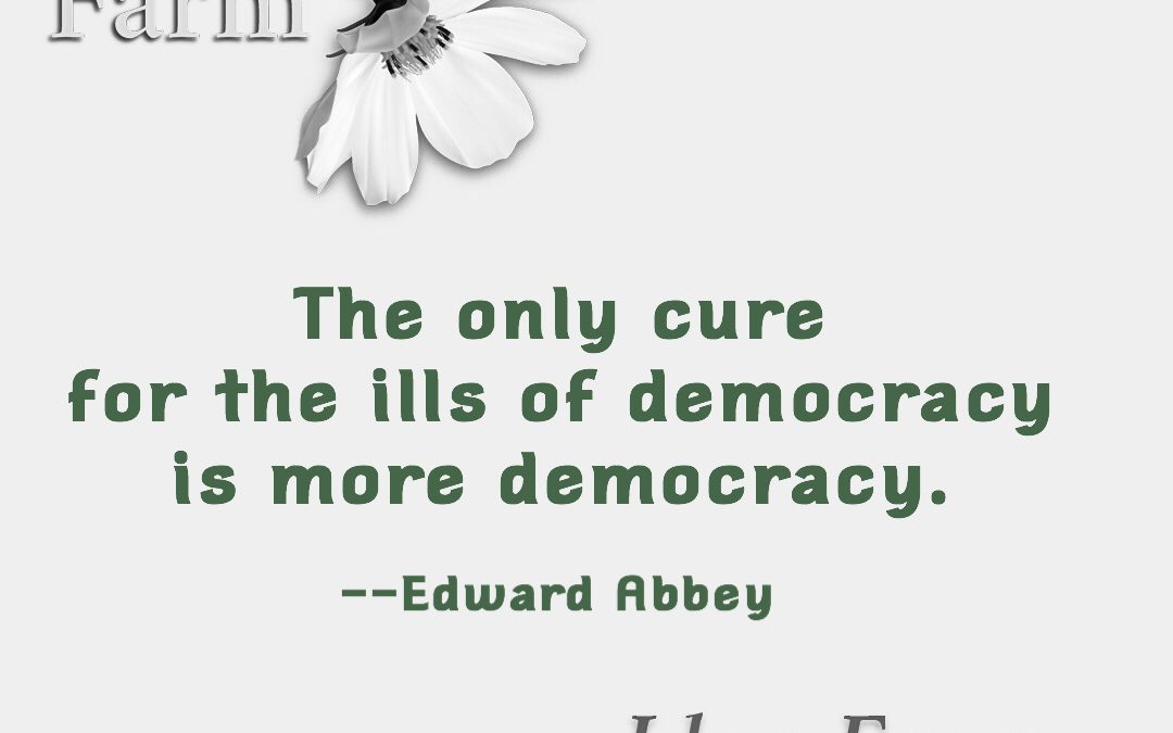IllDemocracy
