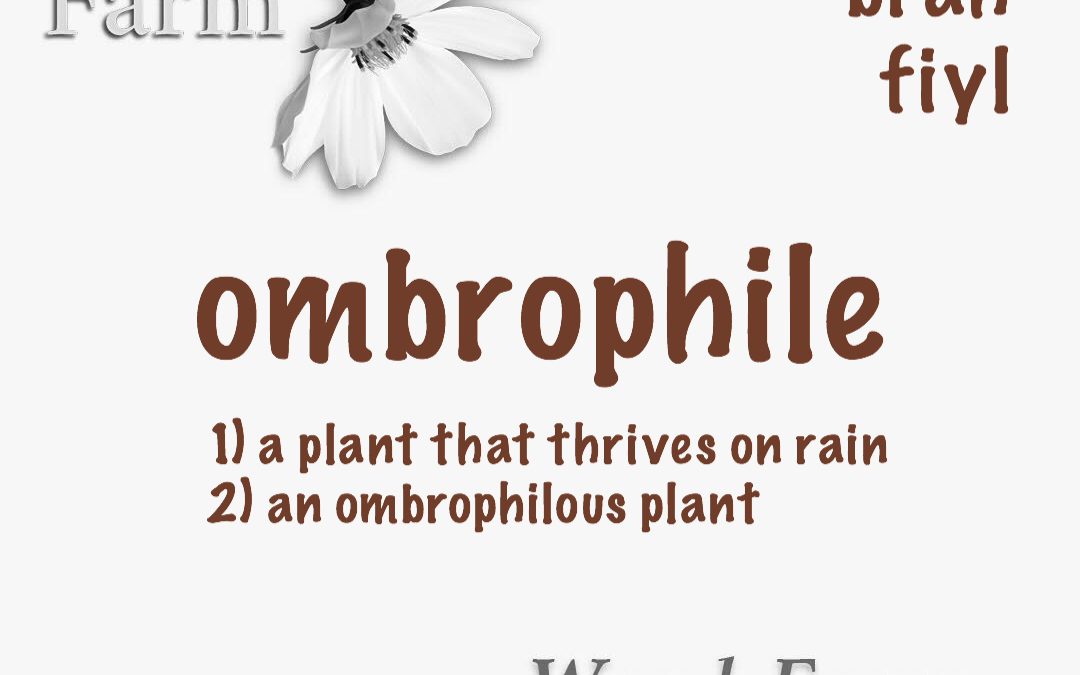 ombrophile
